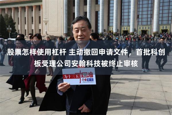 股票怎样使用杠杆 主动撤回申请文件，首批科创板受理公司安翰科技被终止审核