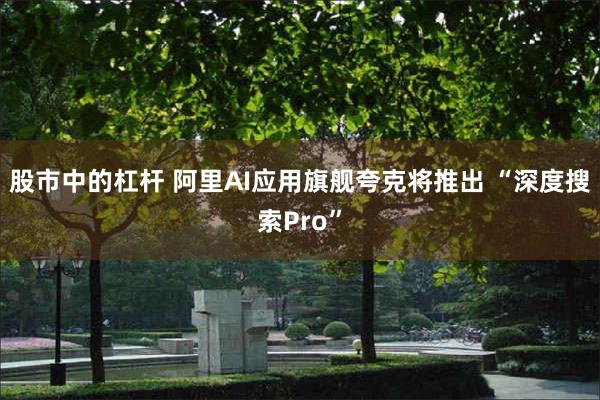 股市中的杠杆 阿里AI应用旗舰夸克将推出 “深度搜索Pro”