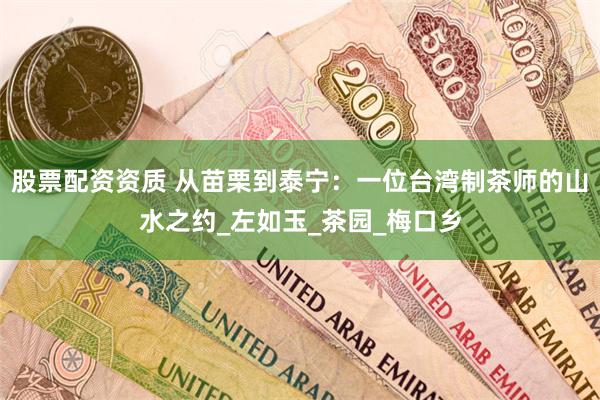股票配资资质 从苗栗到泰宁：一位台湾制茶师的山水之约_左如玉_茶园_梅口乡