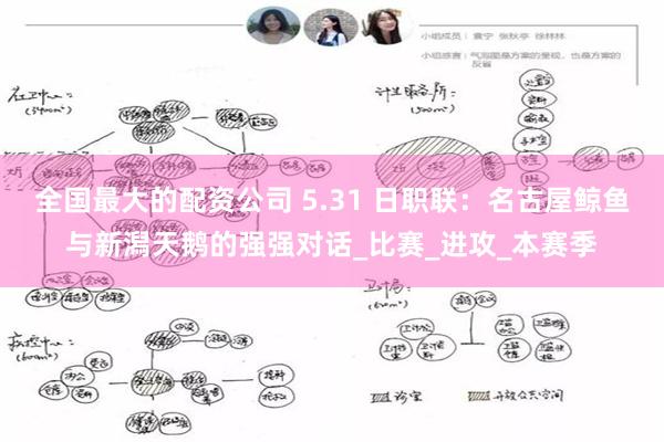 全国最大的配资公司 5.31 日职联：名古屋鲸鱼与新潟天鹅的强强对话_比赛_进攻_本赛季