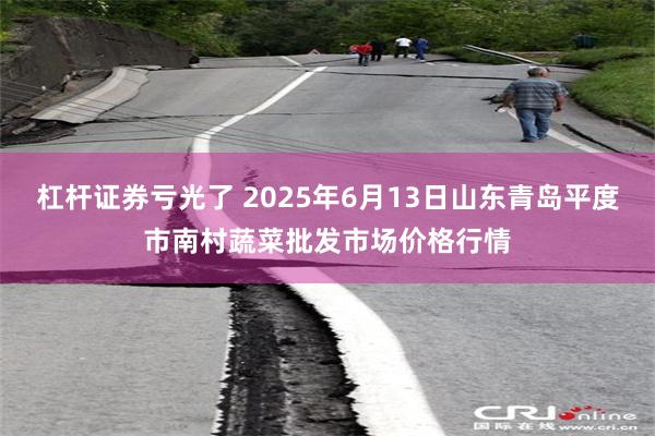 杠杆证券亏光了 2025年6月13日山东青岛平度市南村蔬菜批发市场价格行情