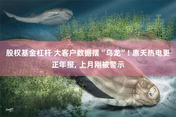 股权基金杠杆 大客户数据摆“乌龙”! 惠天热电更正年报, 上月刚被警示