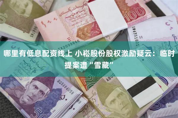 哪里有低息配资线上 小崧股份股权激励疑云：临时提案遭“雪藏”