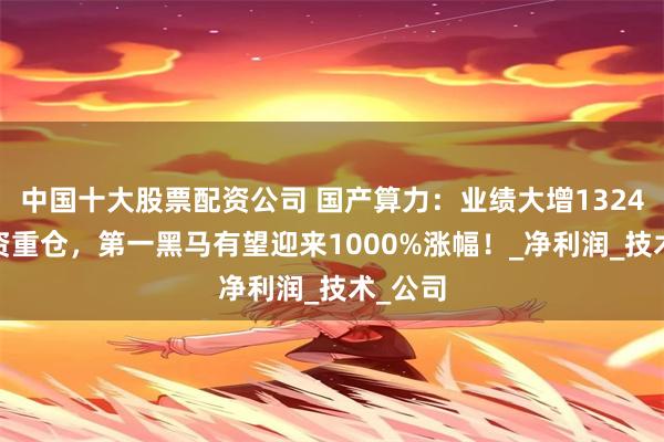 中国十大股票配资公司 国产算力：业绩大增1324%+外资重仓，第一黑马有望迎来1000%涨幅！_净利润_技术_公司