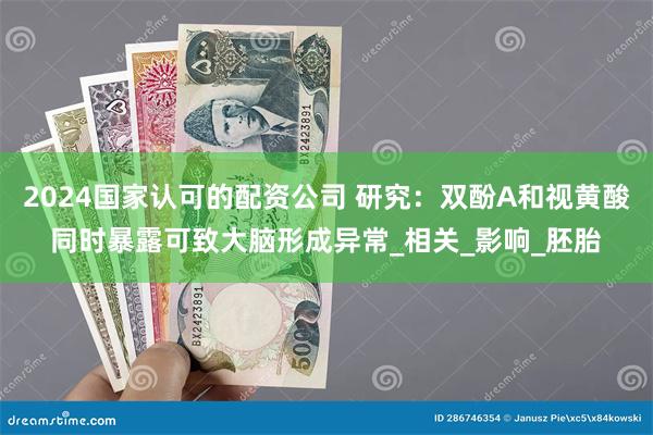 2024国家认可的配资公司 研究：双酚A和视黄酸同时暴露可致大脑形成异常_相关_影响_胚胎