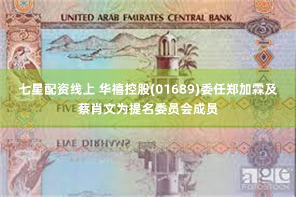 七星配资线上 华禧控股(01689)委任郑加霖及蔡肖文为提名委员会成员